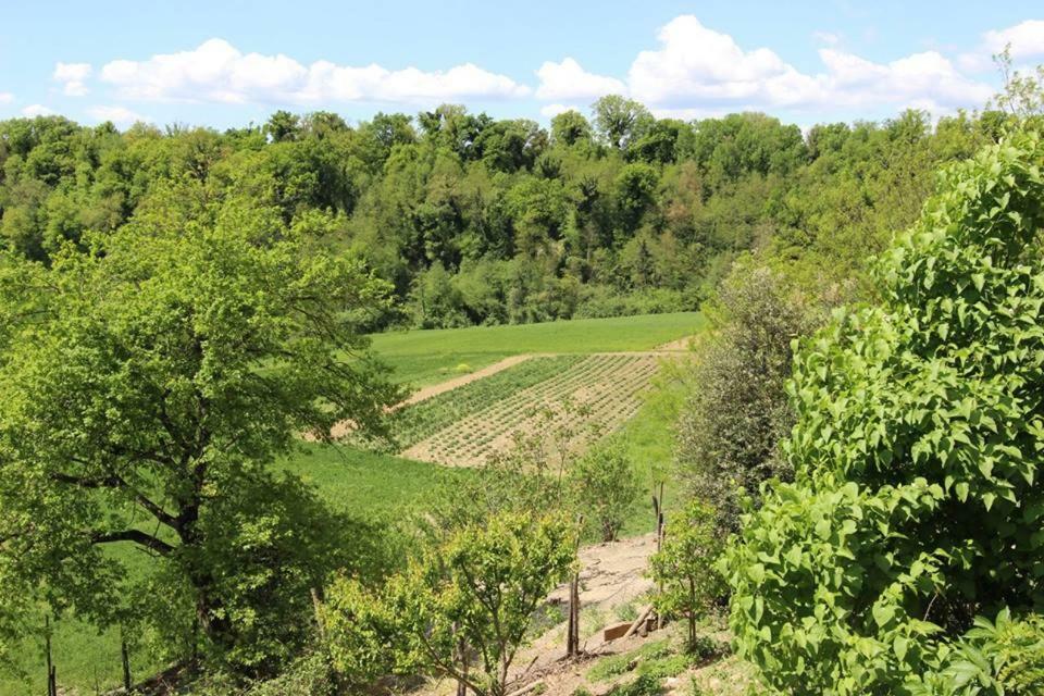 Agriturismo Stazione Di Monta Vicchio Exterior foto